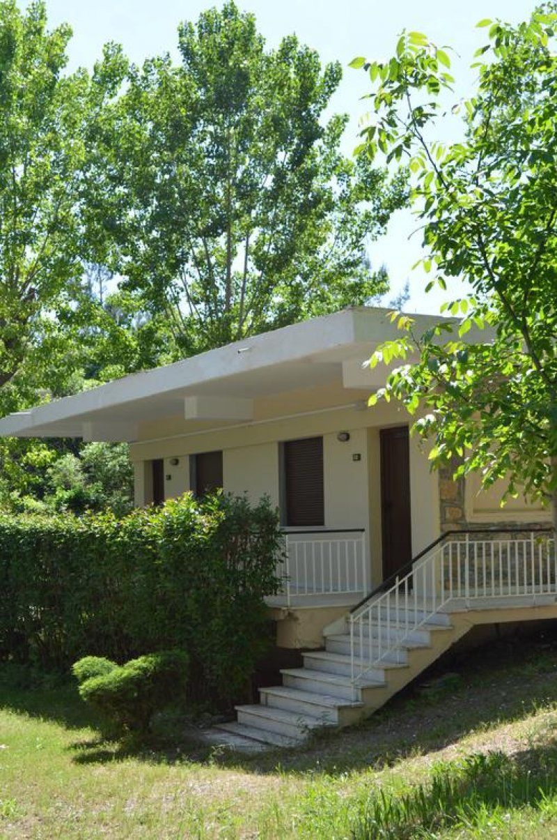 Olympios Zeus - Снимка 7