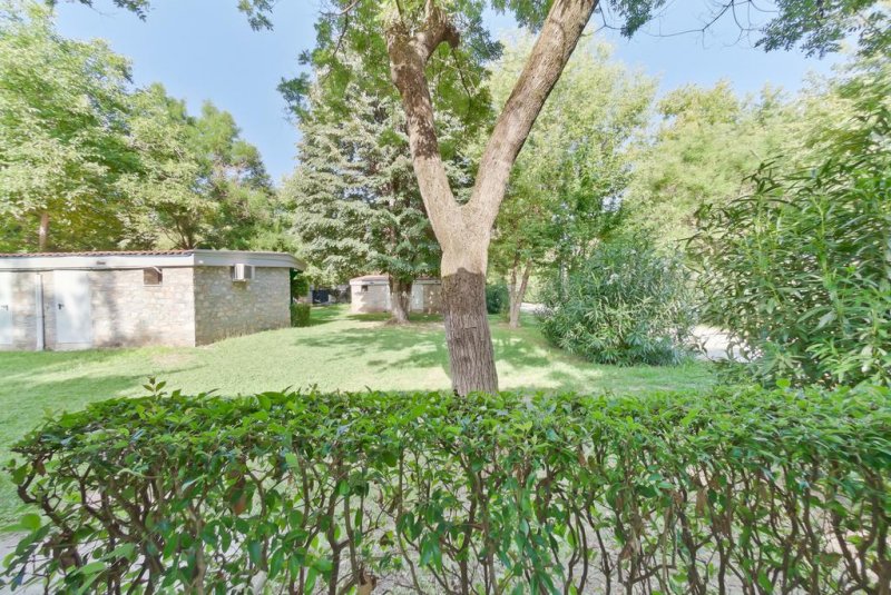 Olympios Zeus - Снимка 4