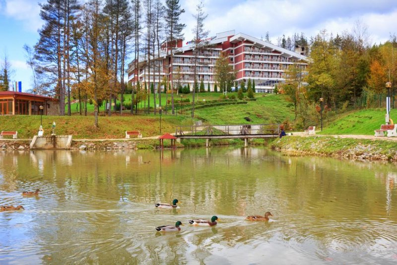 Релакс КООП - Снимка 10