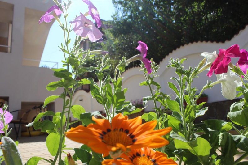 Къща Сиана - Снимка 2