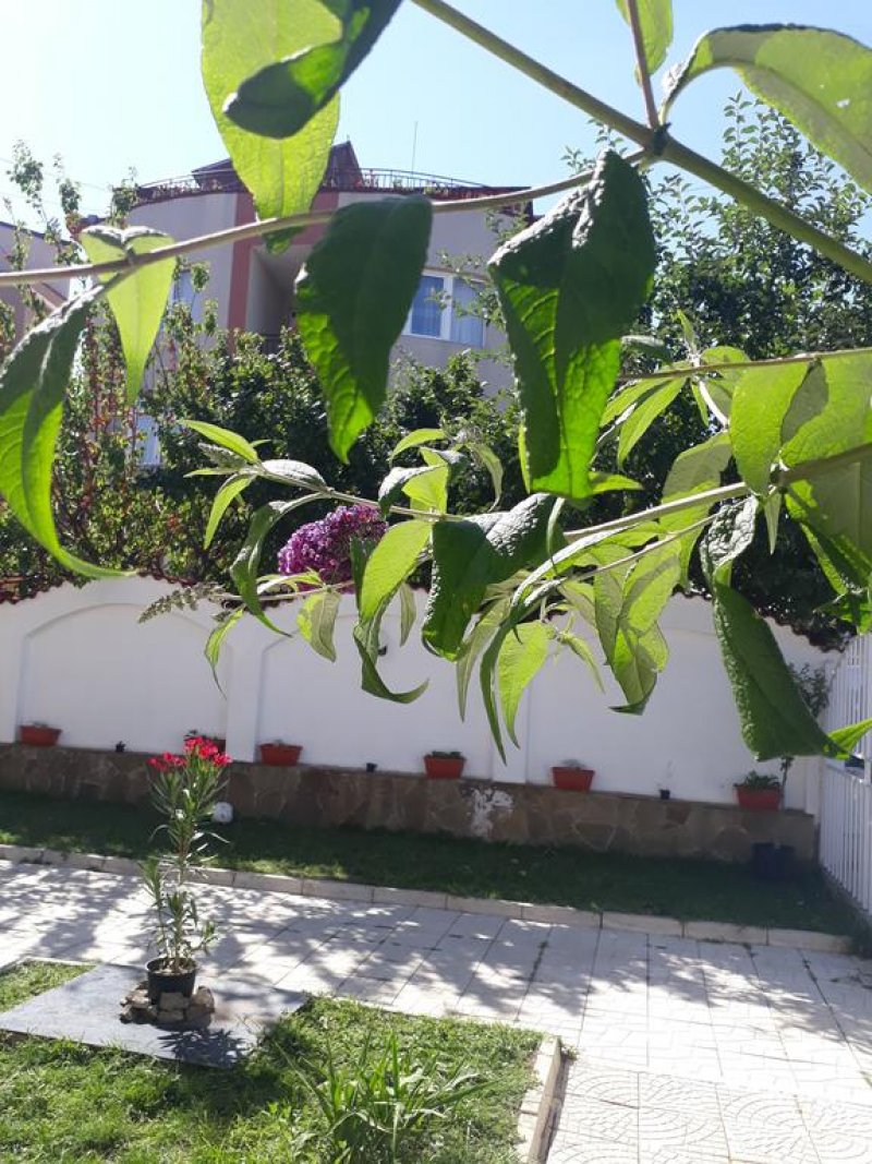 Къща Сиана - Снимка 1