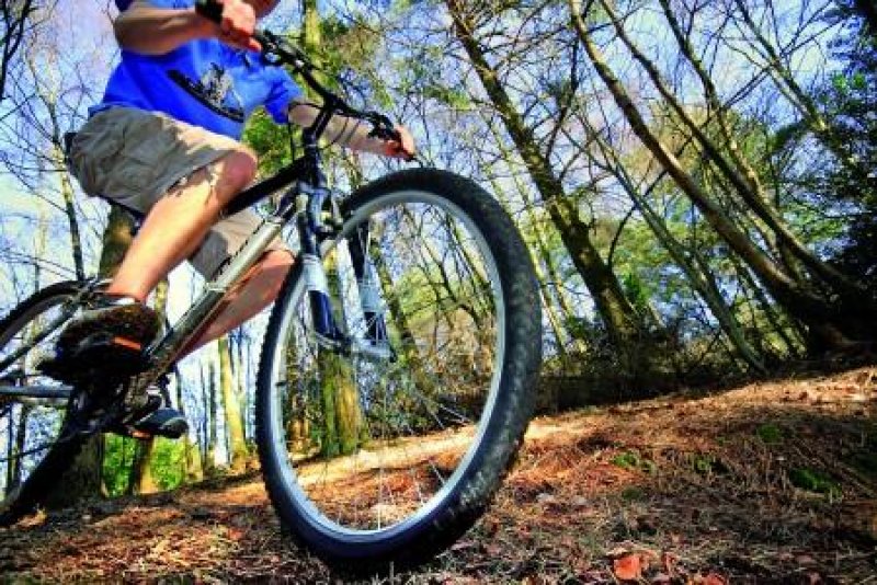 Вила Рупцовото - Снимка 11