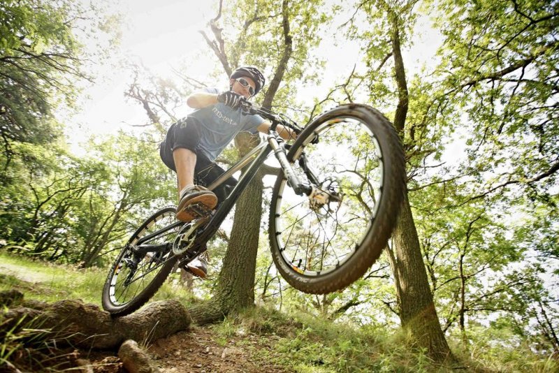 Вила Рупцовото - Снимка 7