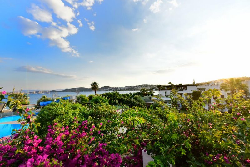 Parkim Ayaz Hotel - Снимка 5