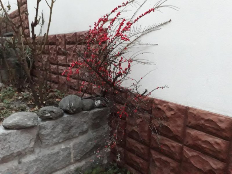 Семеен хотел ИВЕЛ - Снимка 9