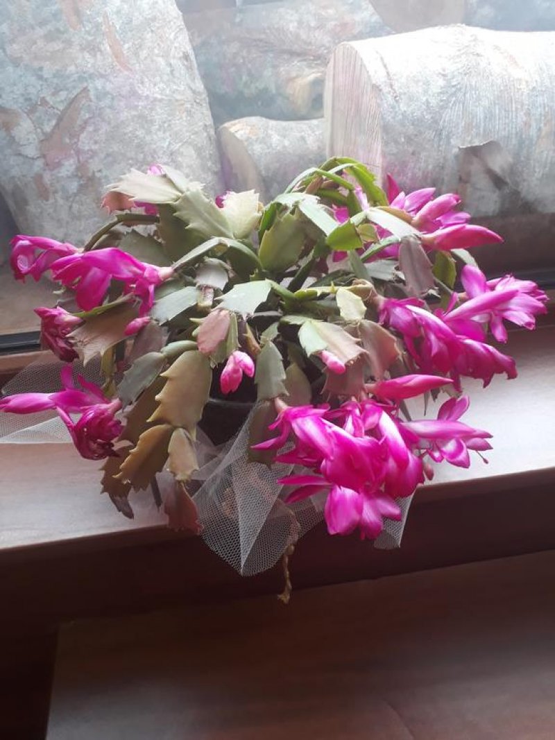 Семеен хотел ИВЕЛ - Снимка 8