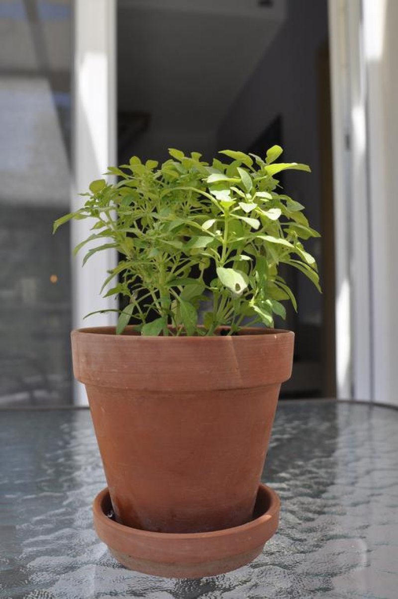 Thalassa Rooms - Снимка 9