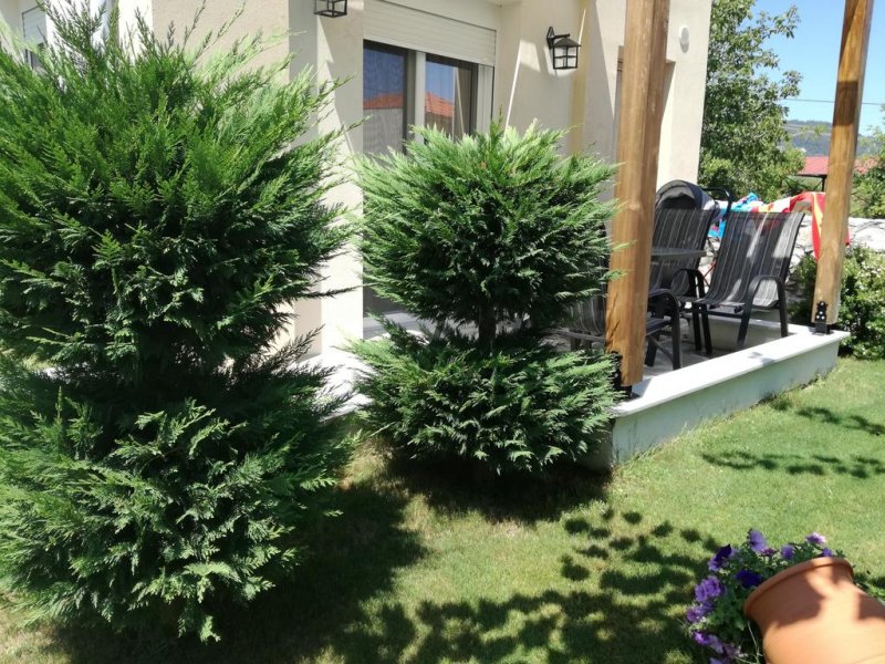 Thalassa Rooms - Снимка 8