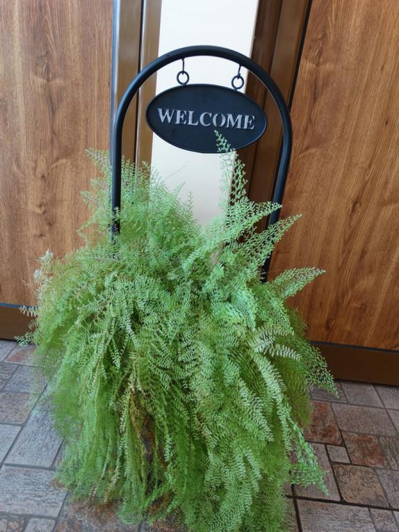 Хотел Плавис - Снимка 3