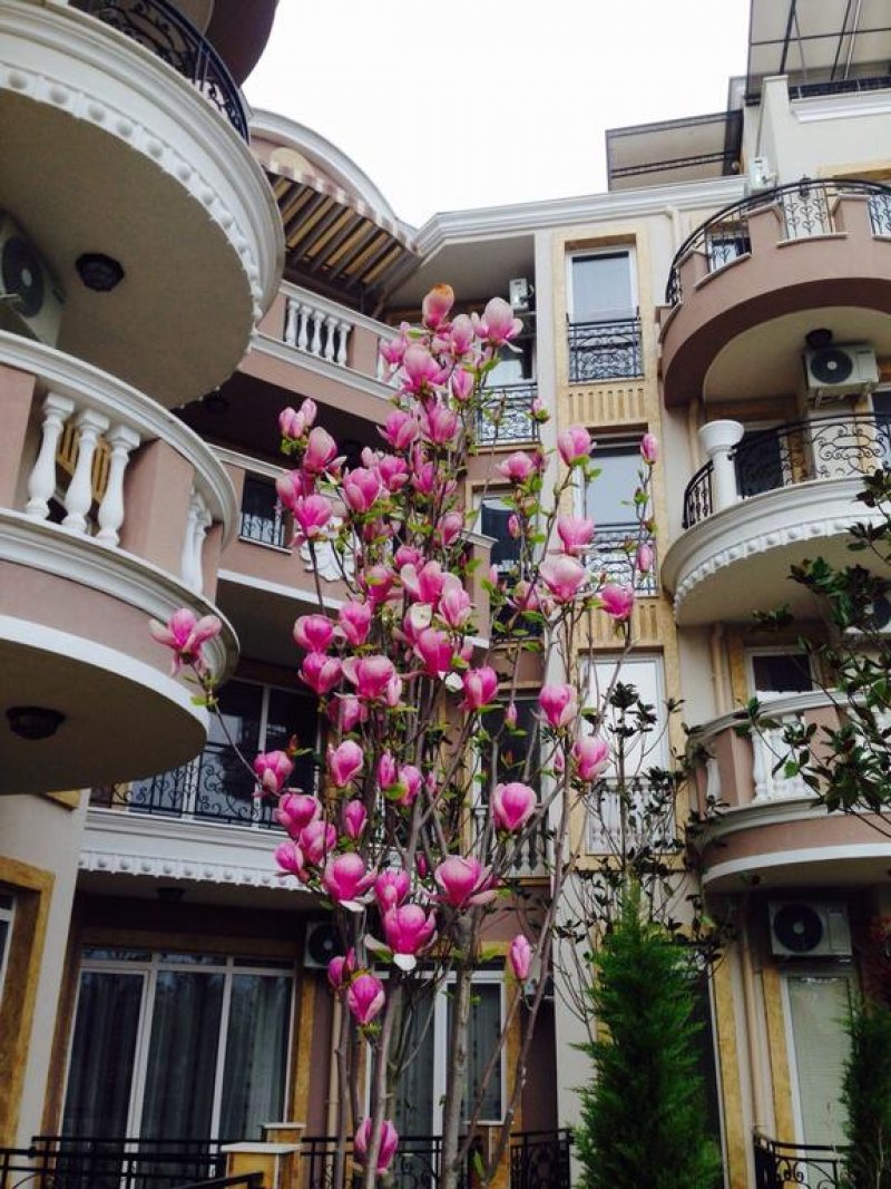 Равда Апартментс - Снимка 1