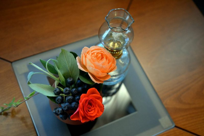 Къща за гости Тренчова къща - Снимка 8