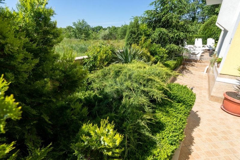 Хотел Луксор - Снимка 4