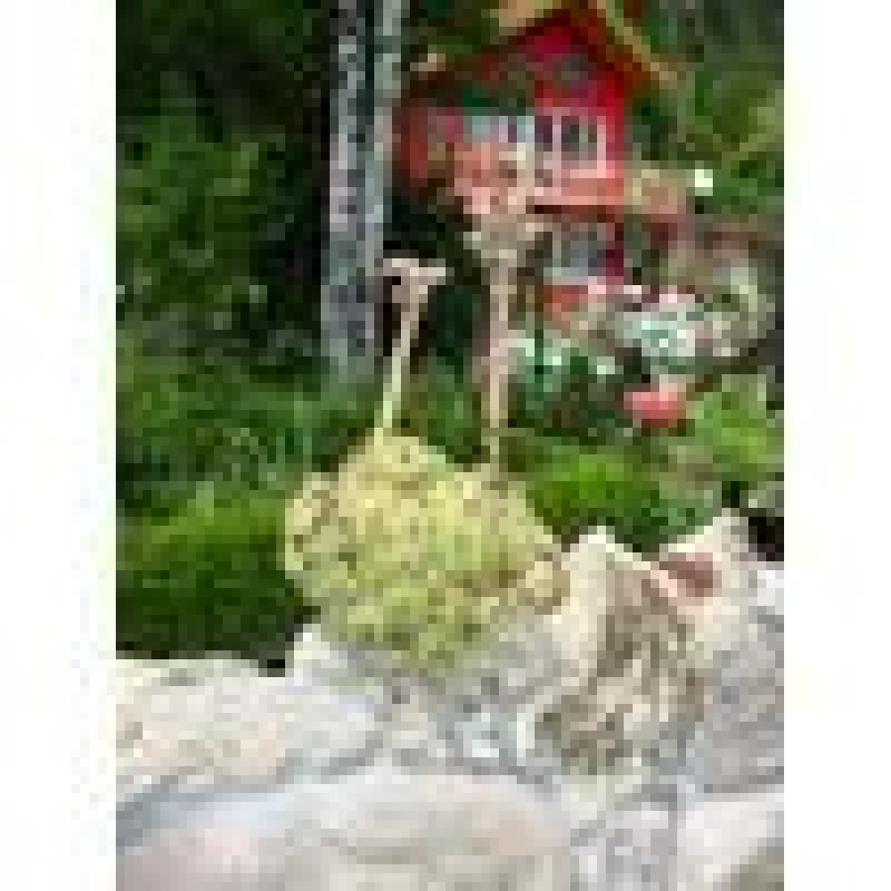 Вила Кокиче - Снимка 8