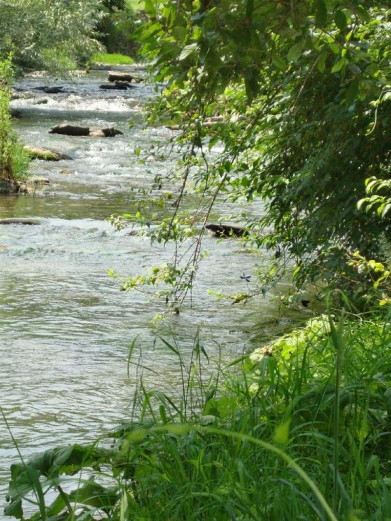 Вила Кокиче - Снимка 8