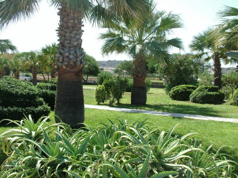 Babaylon Hotel - Снимка 1