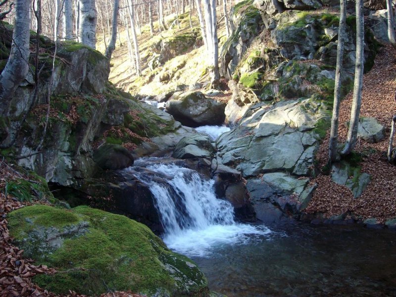 Къща за гости Свети Георги - Снимка 3