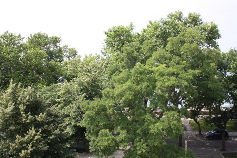 Хотел Парадайс - Снимка 5