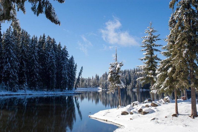 Вилно селище Романтика Форест - Снимка 2