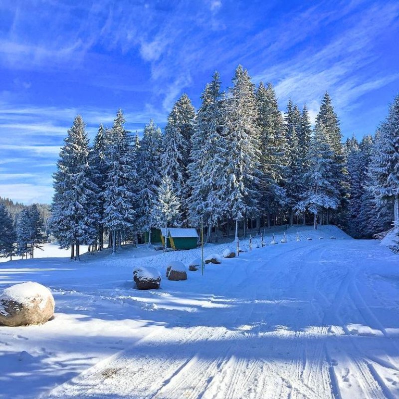 Вилно селище Романтика Форест - Снимка 3