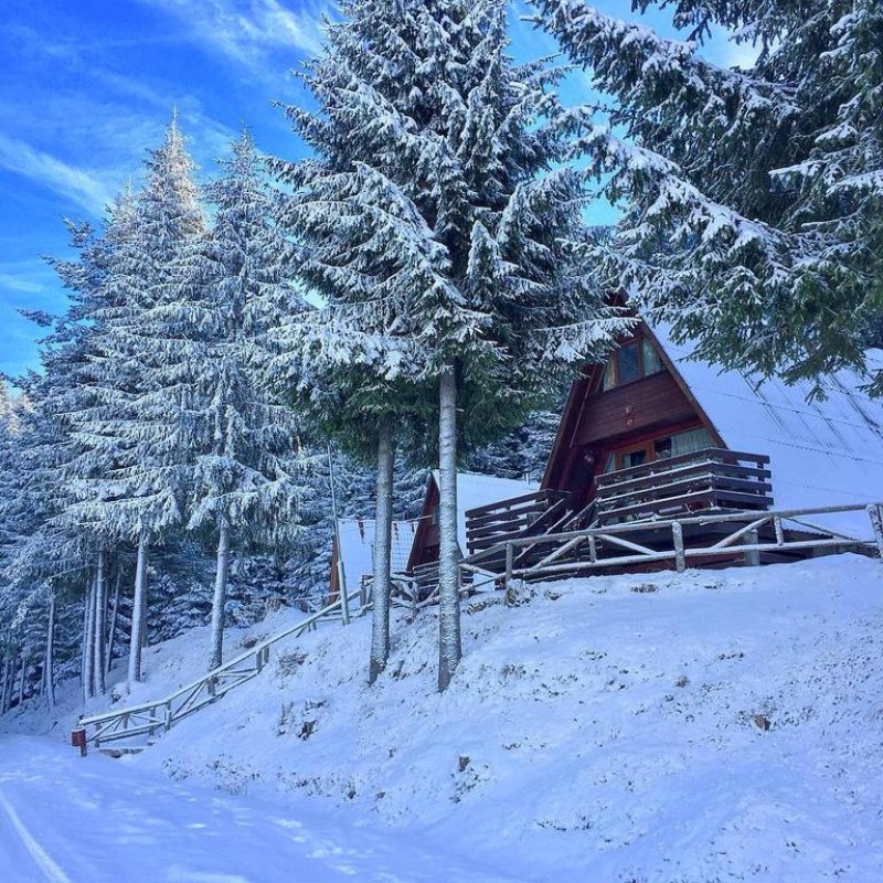 Вилно селище Романтика Форест - Снимка 9