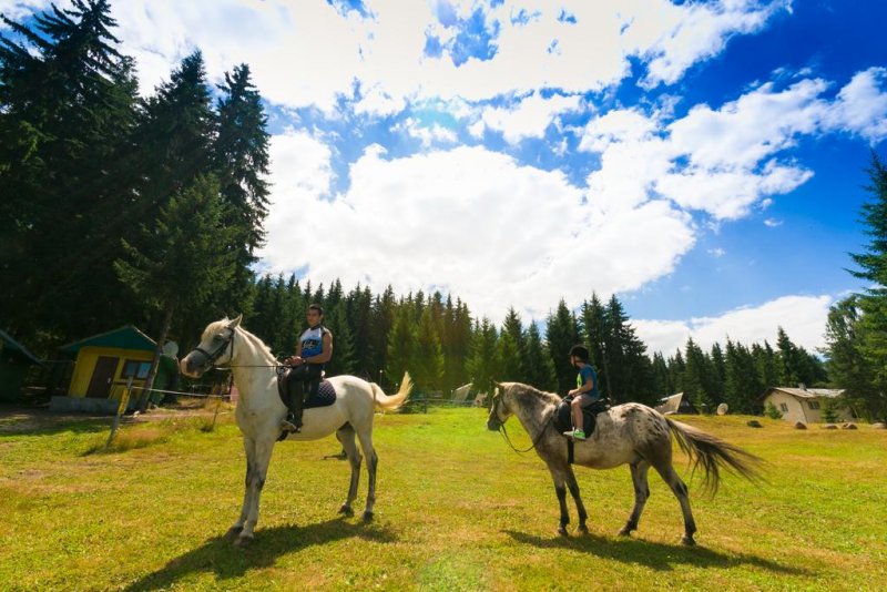 Вилно селище Романтика Форест - Снимка 3