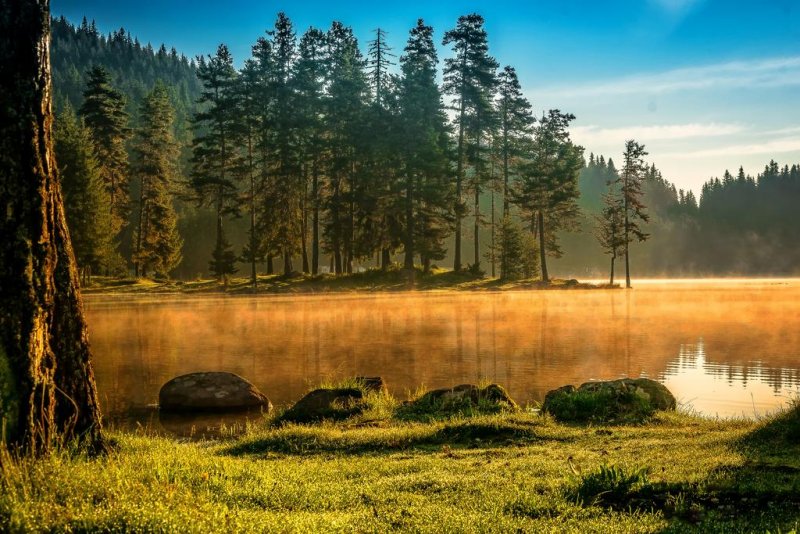 Вилно селище Романтика Форест - Снимка 5