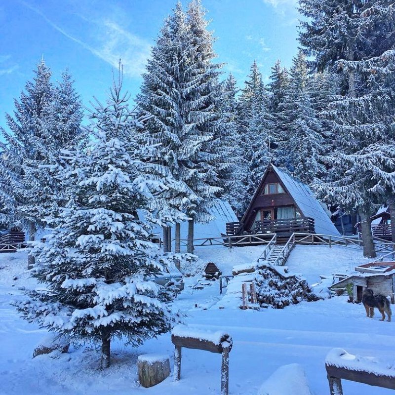 Вилно селище Романтика Форест - Снимка 10