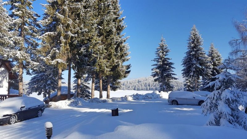 Вилно селище Романтика Форест - Снимка 9