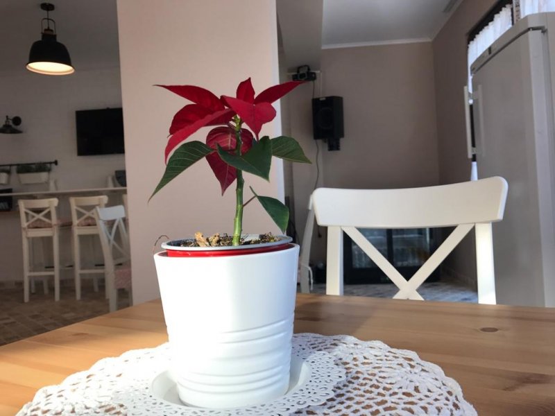 Вила Гергана - Снимка 2