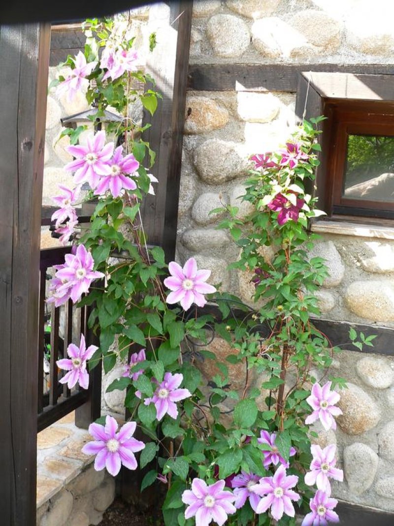 Хотел Танне - Снимка 5