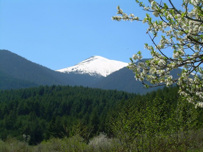 Хотел Танне - Снимка 11