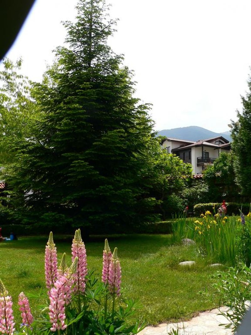 Хотел Танне - Снимка 3