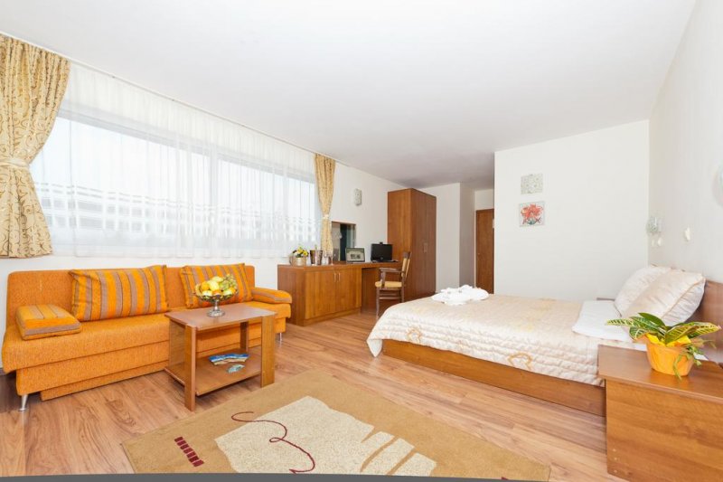 Хотел Яев - Снимка 5