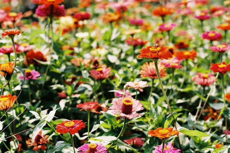 Хотел Яев - Снимка 5