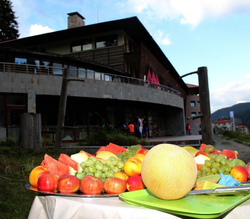 Хотел Борика - Снимка 10