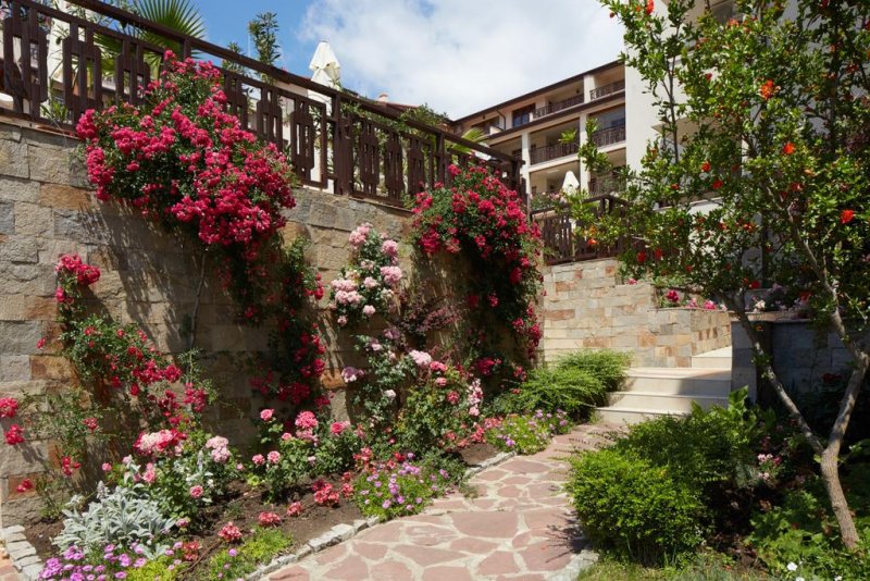 Хотел Релакс Холидей Комплекс и Спа - Снимка 11