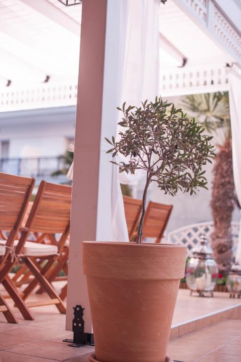 Hotel Vizantio  - Снимка 8