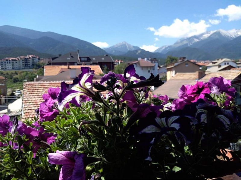 Къща за гости Планински Здравец - Снимка 4