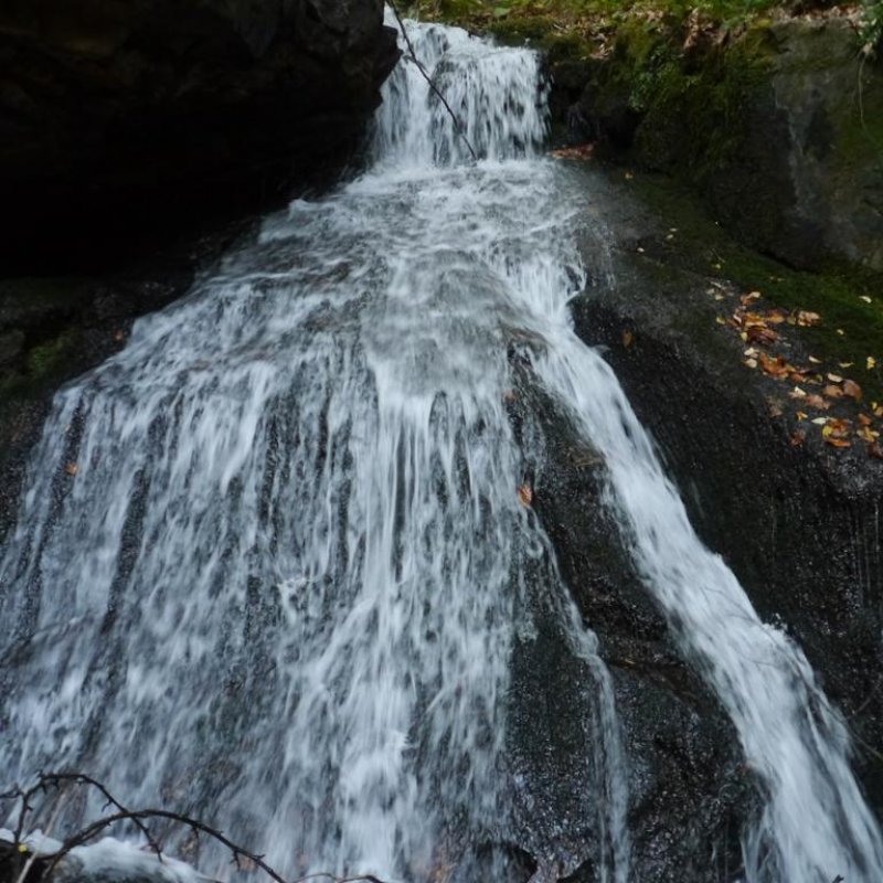 Комплекс Династия – Механа и стаи за гости - Снимка 10
