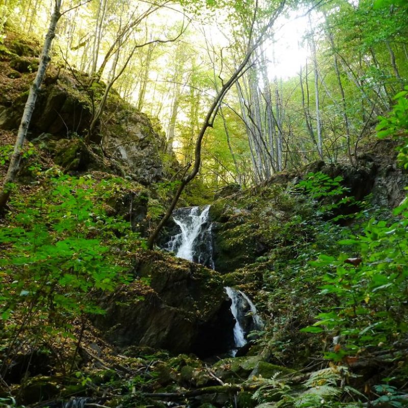 Комплекс Династия – Механа и стаи за гости - Снимка 1