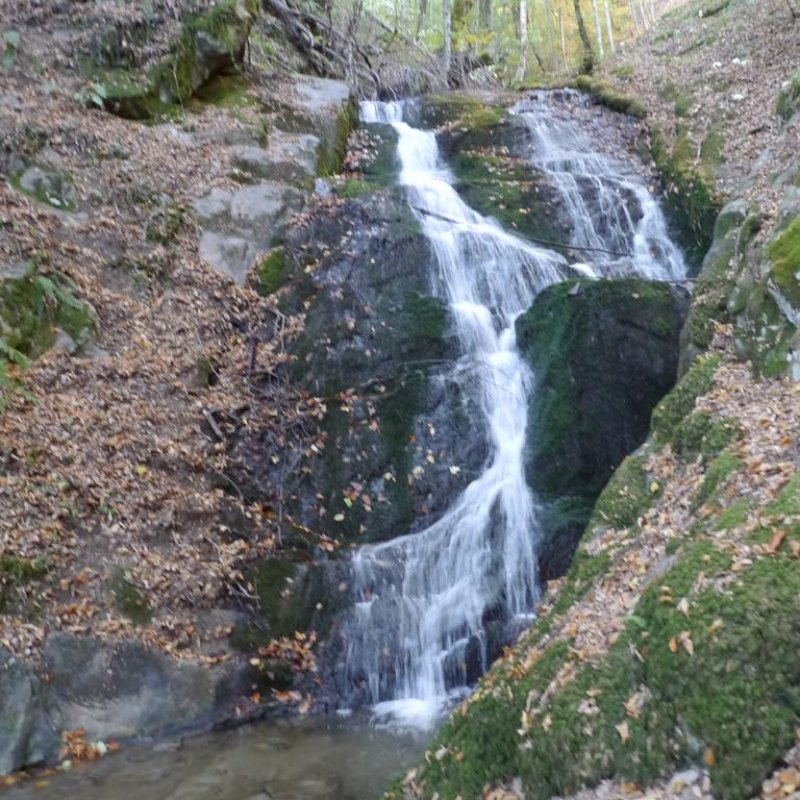 Комплекс Династия – Механа и стаи за гости - Снимка 2