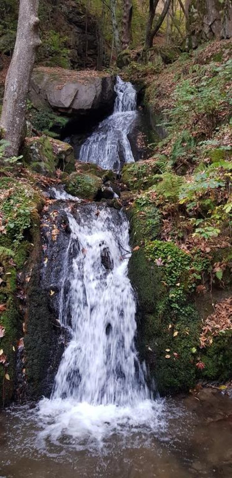 Комплекс Династия – Механа и стаи за гости - Снимка 1