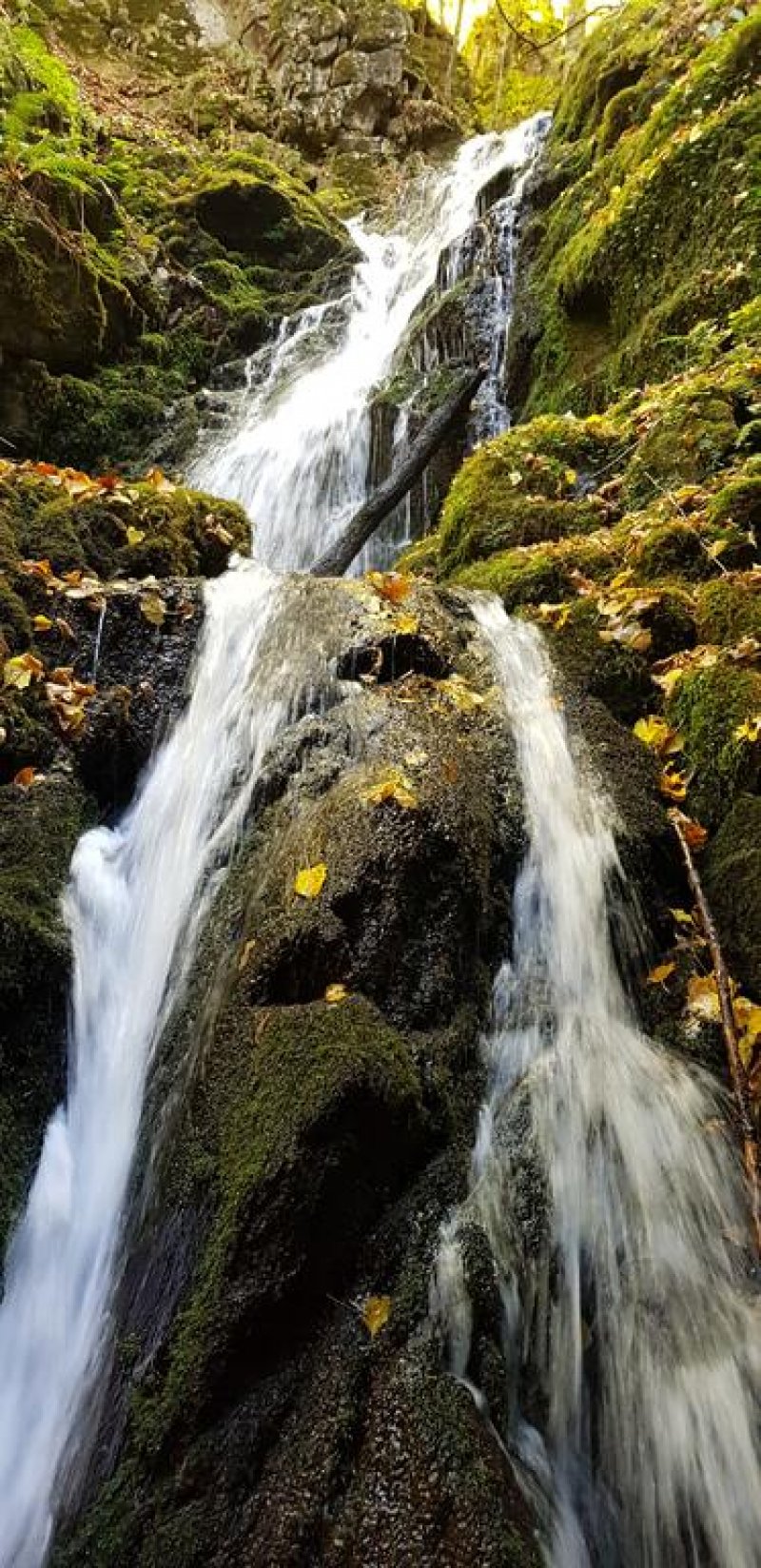 Комплекс Династия – Механа и стаи за гости - Снимка 11