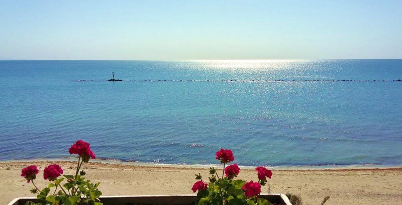 Hotel Avra - Снимка 10