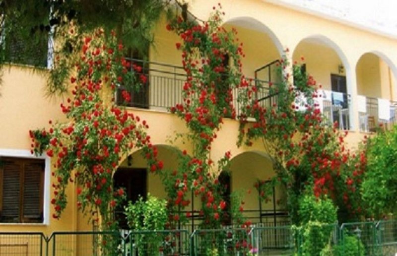 Roda Pearl Resort - Снимка 8