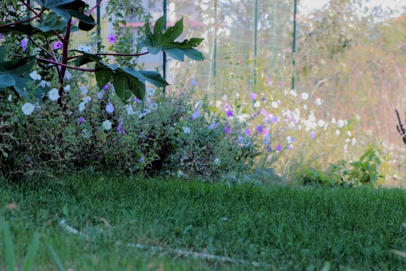 Вила Тангра - Снимка 9