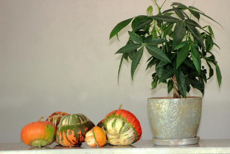 Вила Тангра - Снимка 7