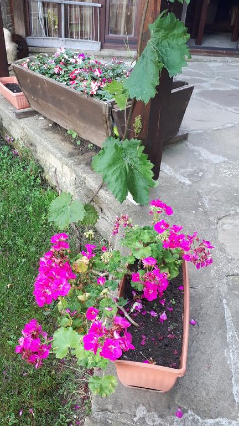 Къща за гости Зарковата къща - Снимка 4