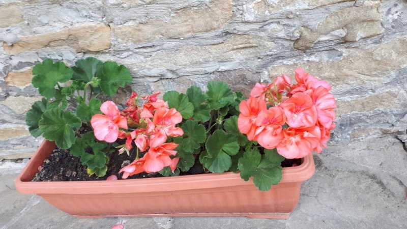 Къща за гости Зарковата къща - Снимка 3