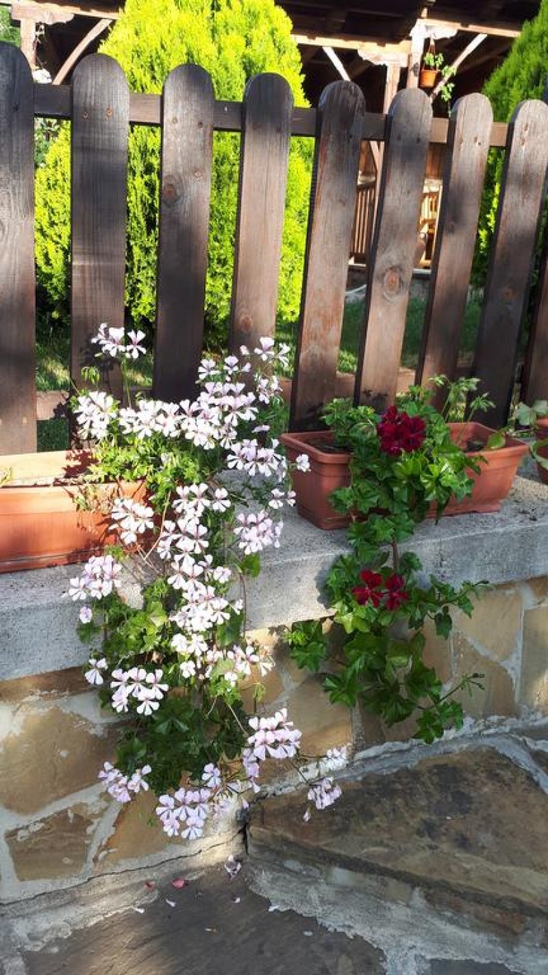 Къща за гости Зарковата къща - Снимка 7